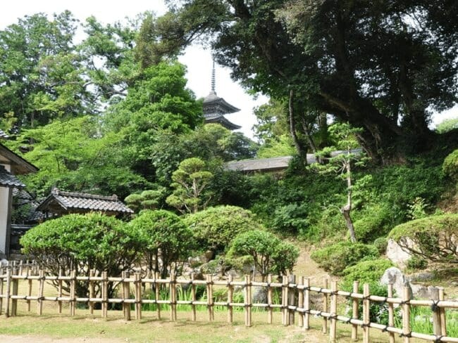 妙成寺