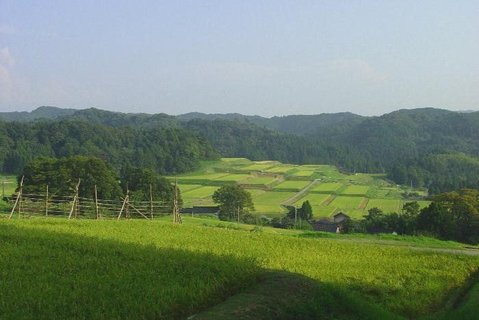 神子原の棚田